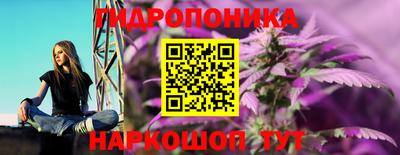 мдпв Тверь