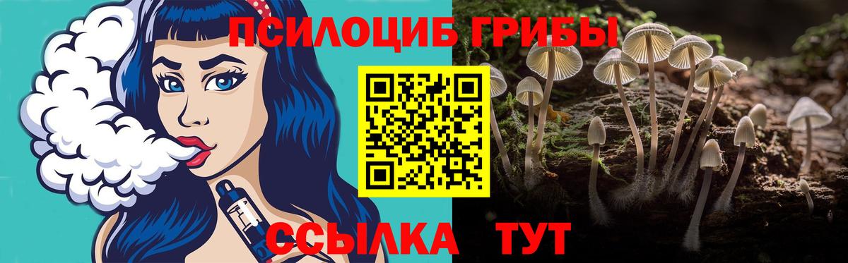 Галлюциногенные грибы GOLDEN TEACHER Дальнегорск