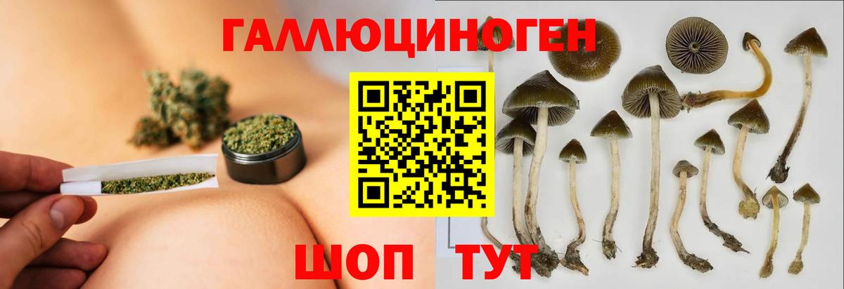 Дальнегорск  Псилоцибиновые грибы GOLDEN TEACHER  Вход с VPN 